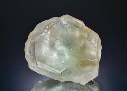CC45182 specimen image