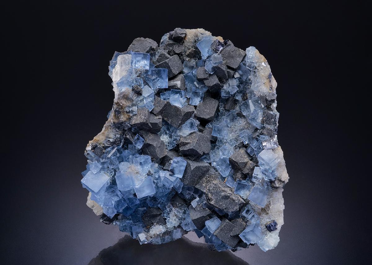 CC45184 specimen image
