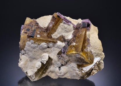 CC45190 specimen image