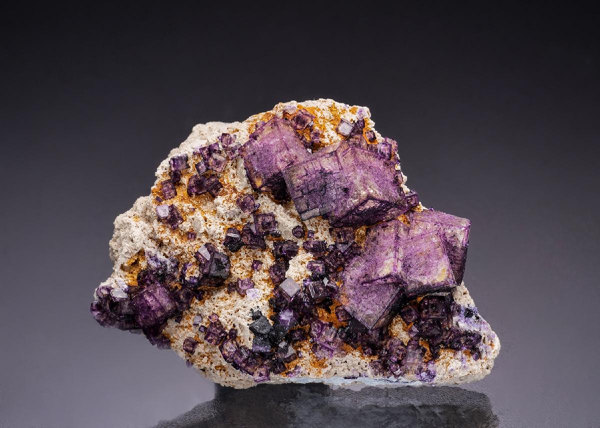 CC45196 specimen image