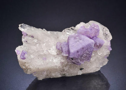 CC45198 specimen image