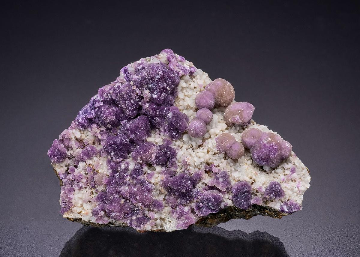 CC45216 specimen image
