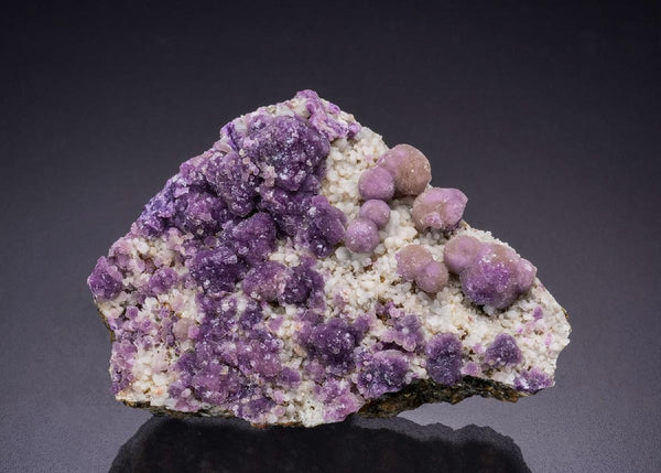 CC45216 specimen image