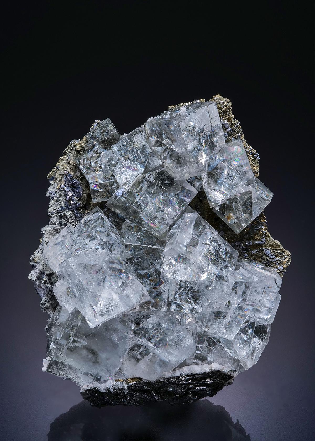 CC45224 specimen image