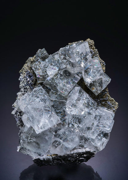 CC45224 specimen image