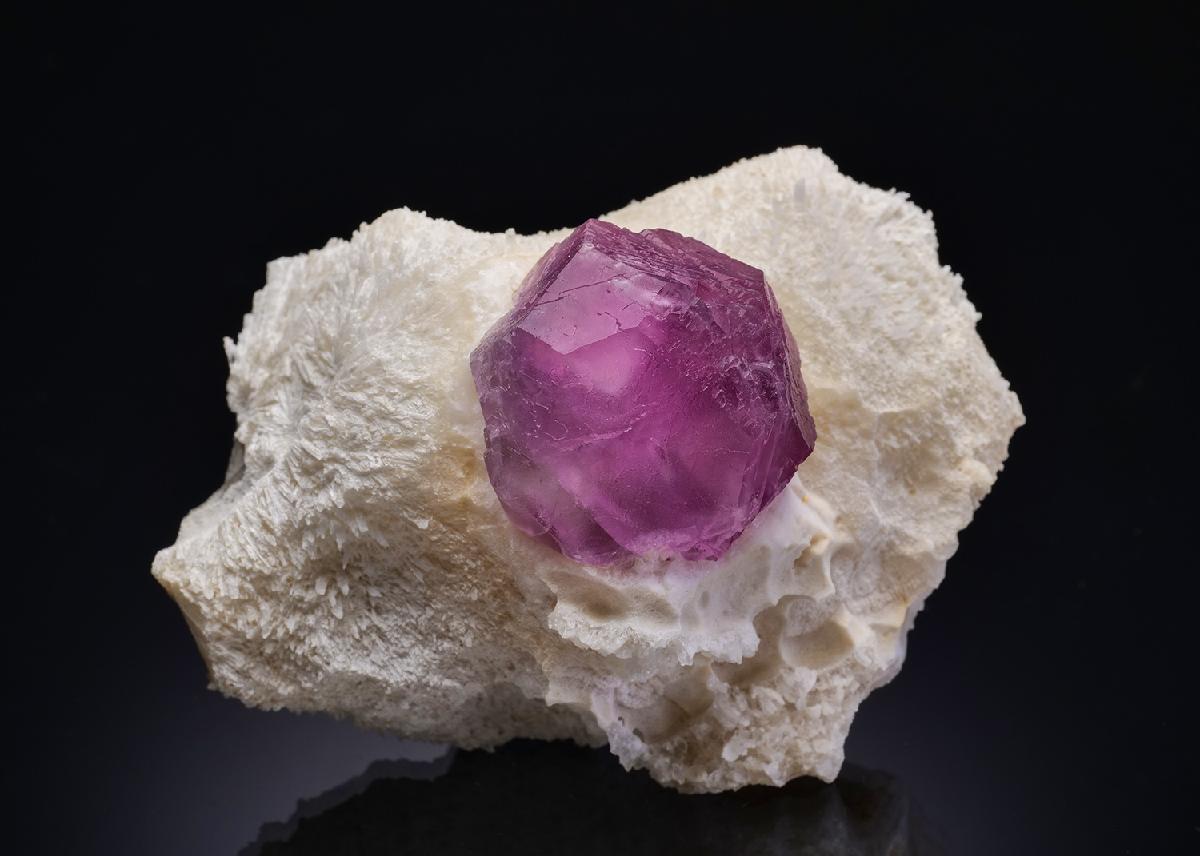 CC45234 specimen image