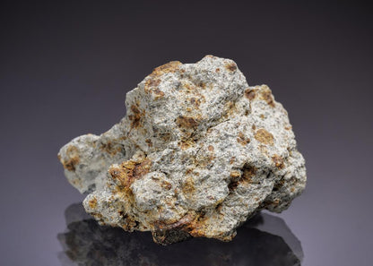 CC45240 specimen image