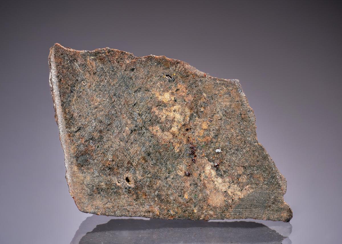 CC45242 specimen image