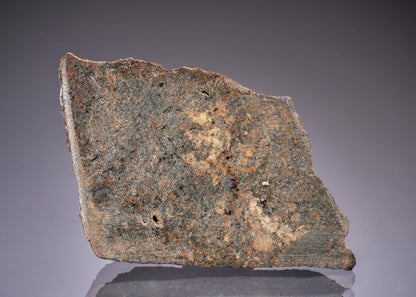CC45242 specimen image