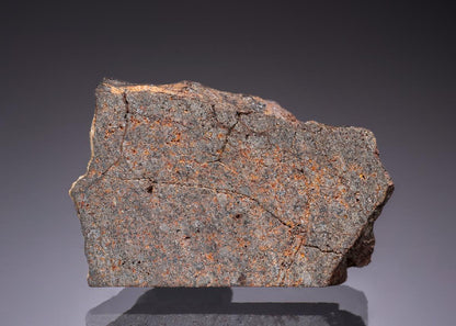 CC45244 specimen image