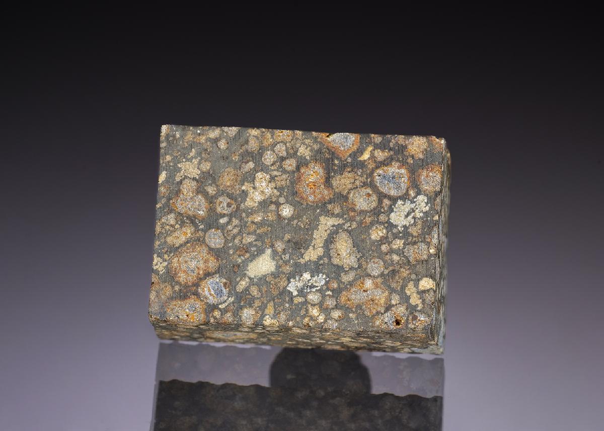 CC45246 specimen image