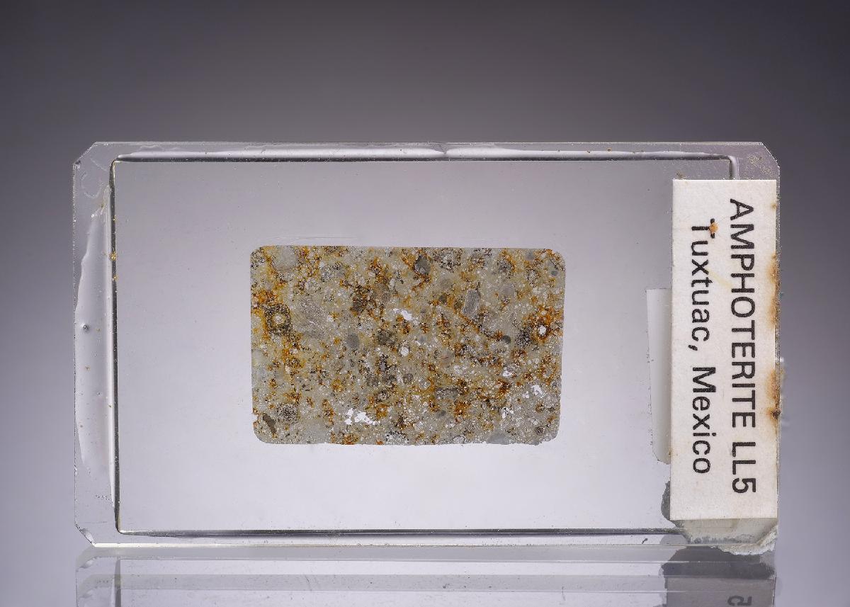 CC45252 specimen image