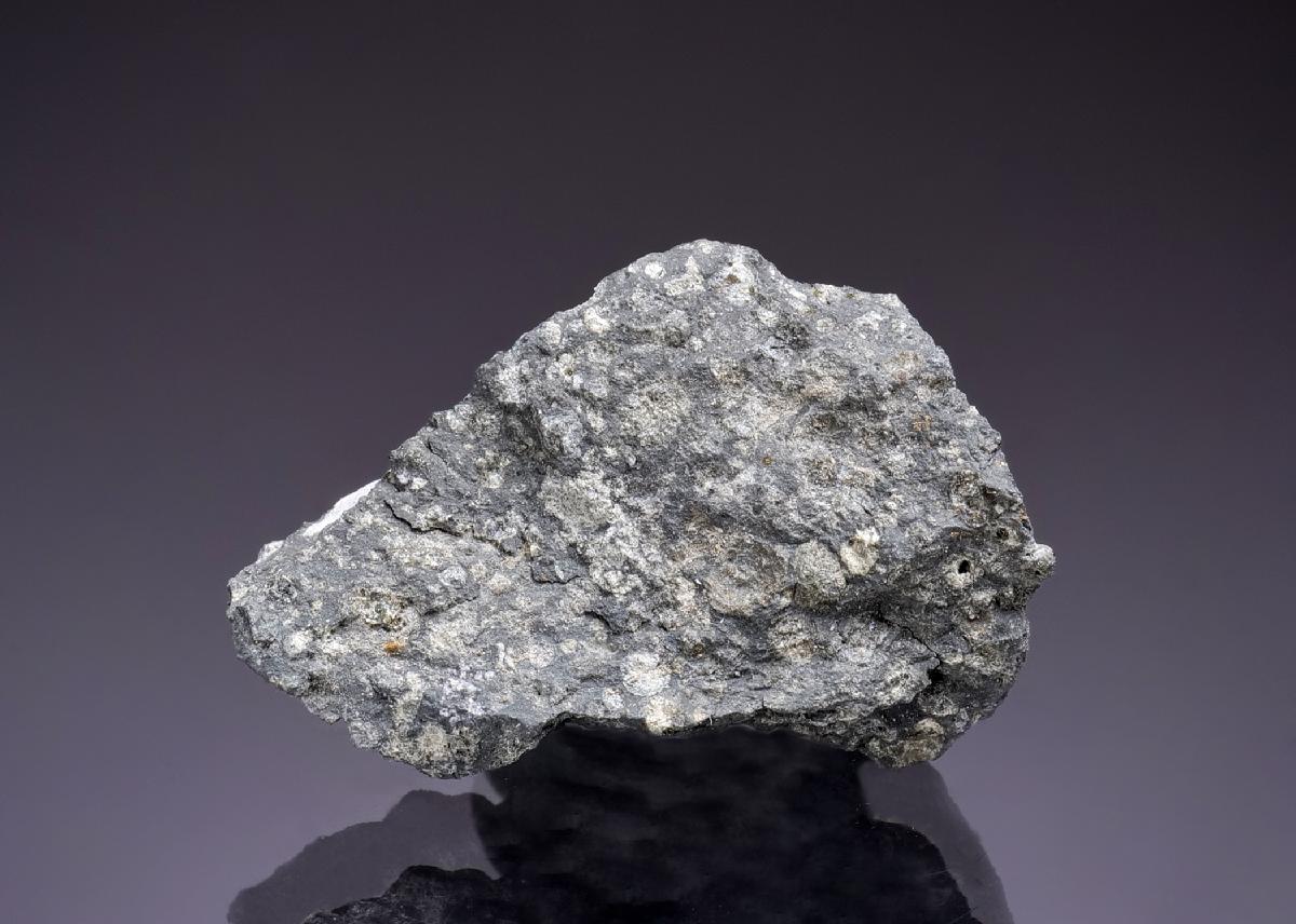 CC45272 specimen image