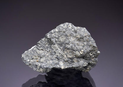 CC45272 specimen image