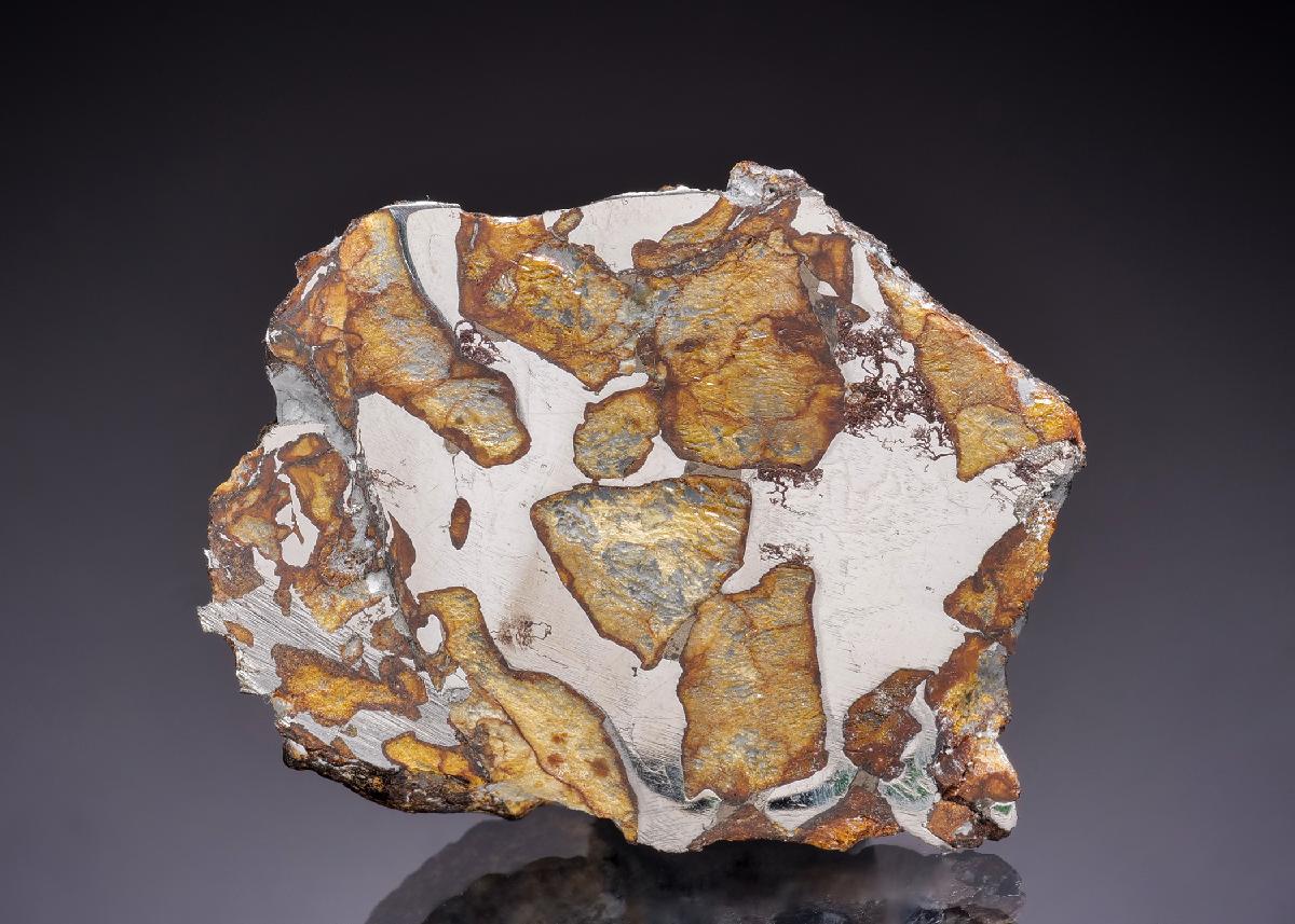 CC45274 specimen image