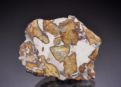 CC45274 specimen image