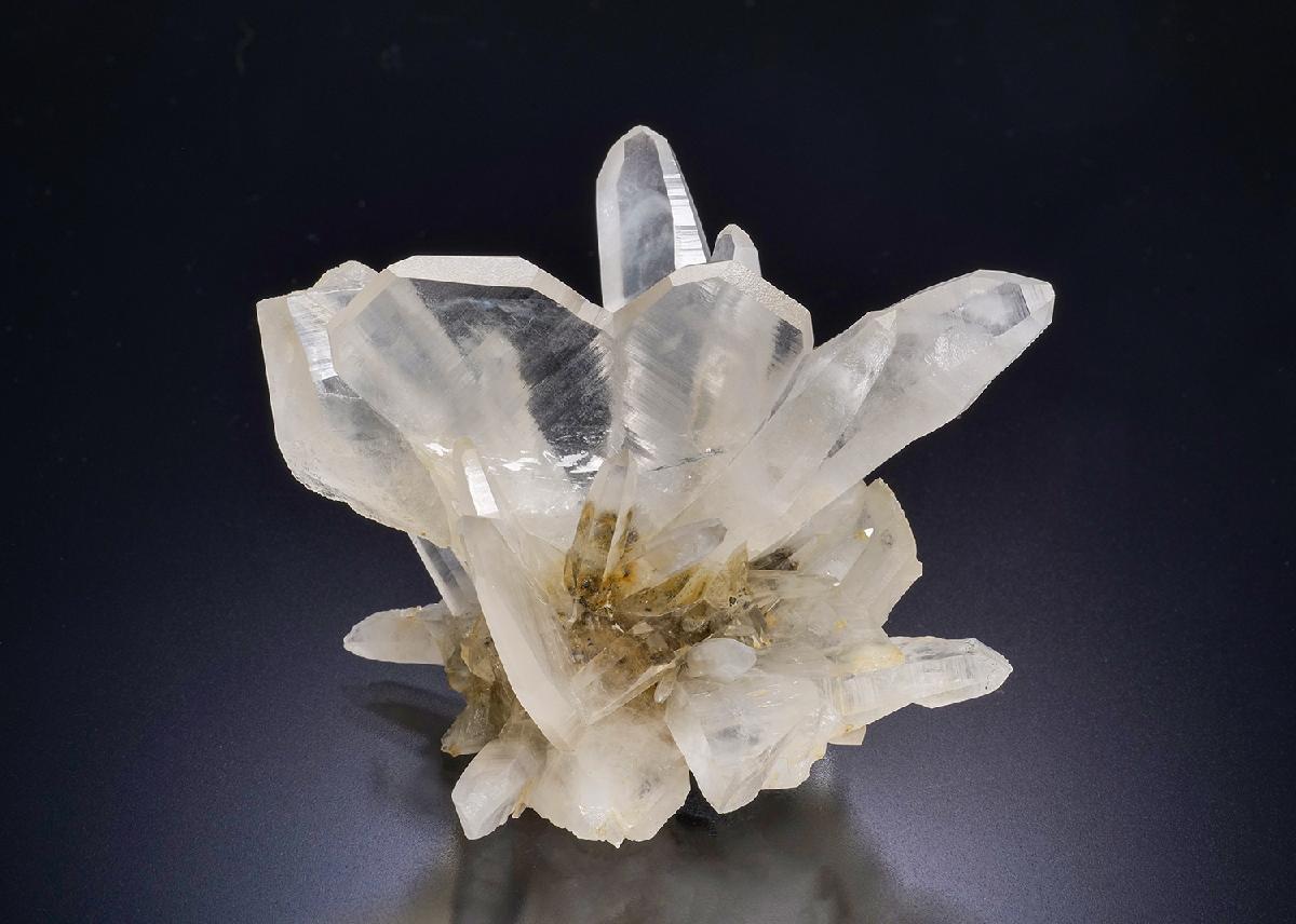 CC45292 specimen image