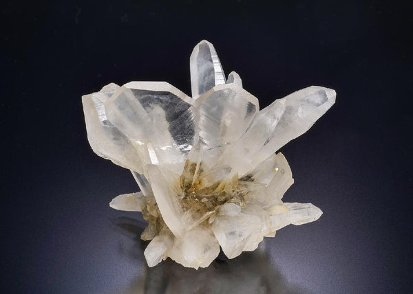 CC45292 specimen image