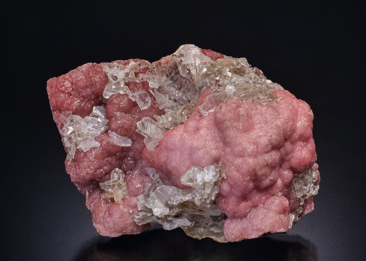 CC45302 specimen image