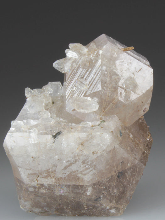 CC4539 specimen image