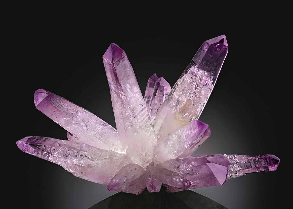 CC45452 specimen image