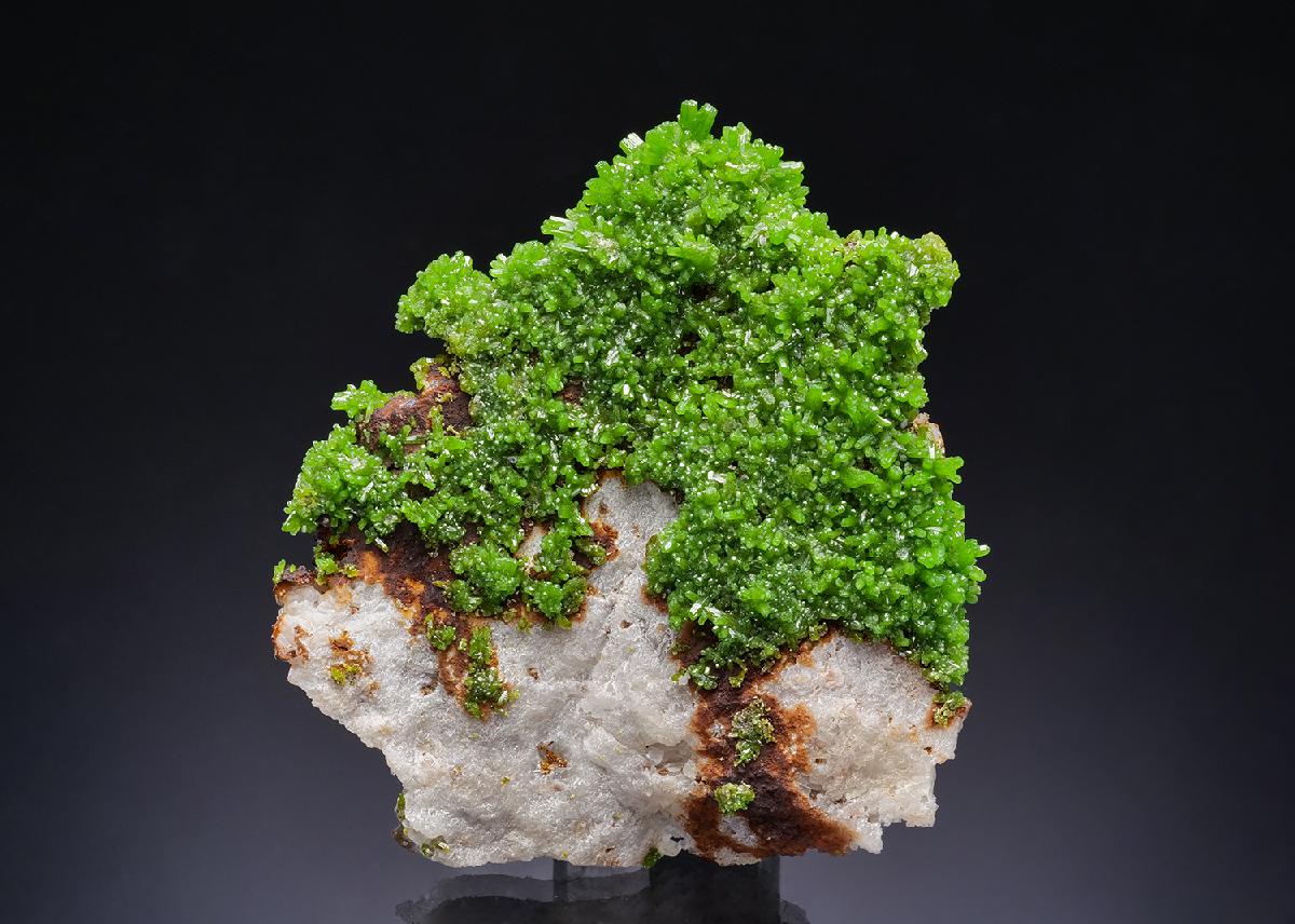 CC45462 specimen image