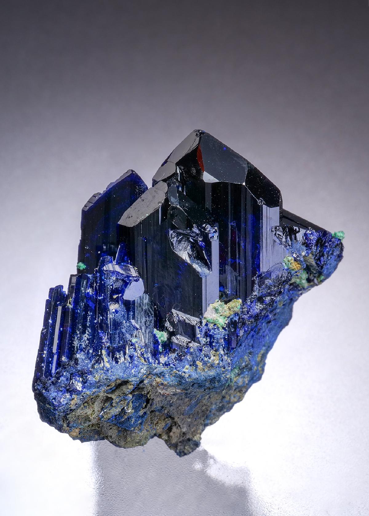 CC45496 specimen image