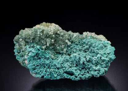 CC45520 specimen image