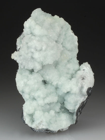 CC4553 specimen image