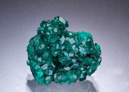 CC45614 specimen image