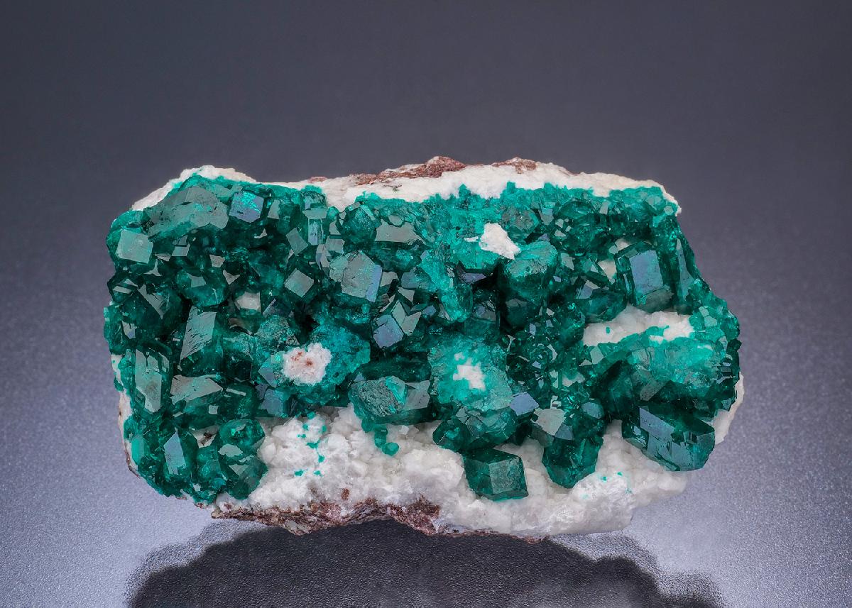 CC45692 specimen image