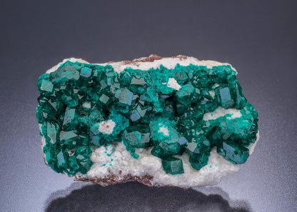 CC45692 specimen image
