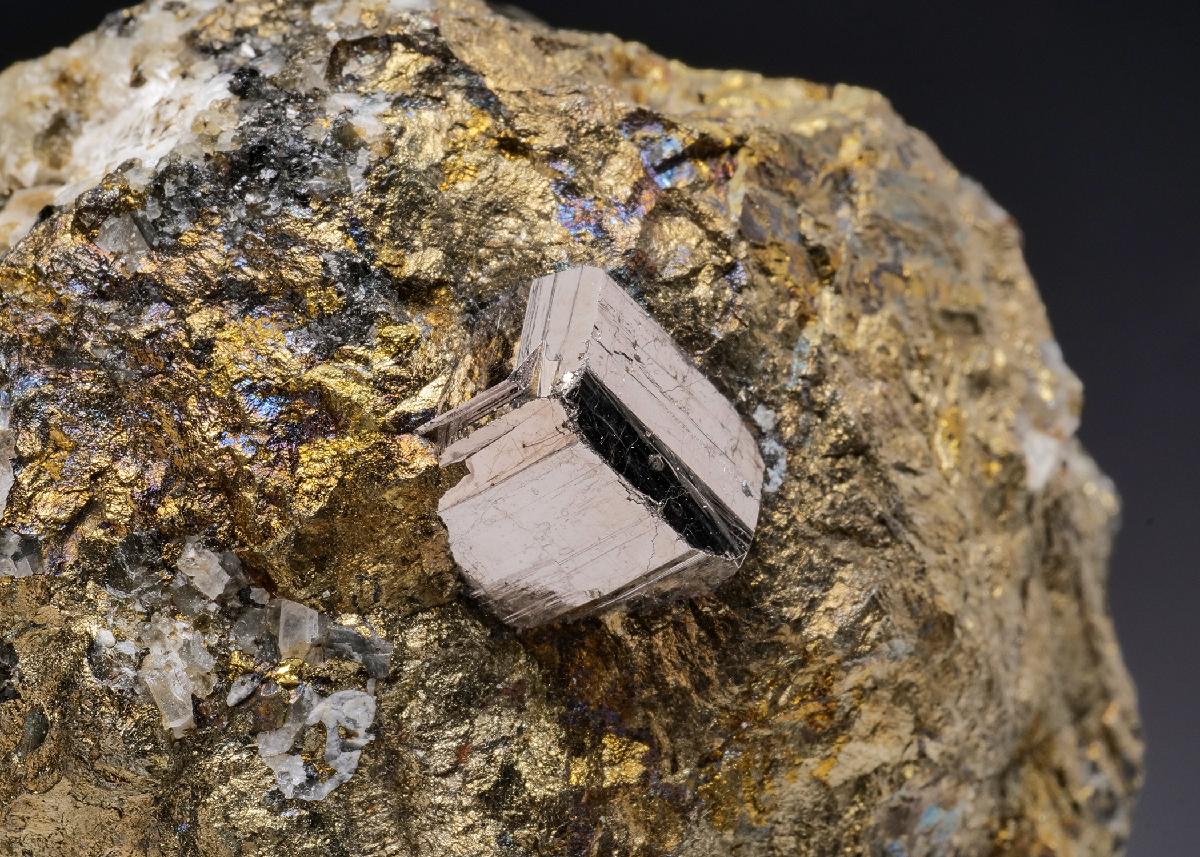 CC4569 specimen image