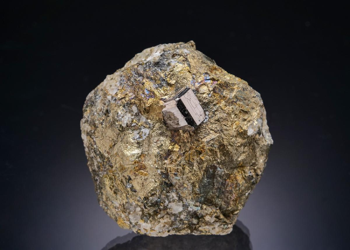 CC4569 specimen image