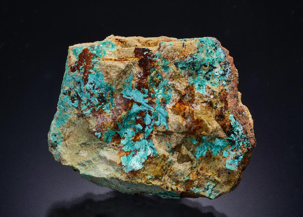 CC45718 specimen image