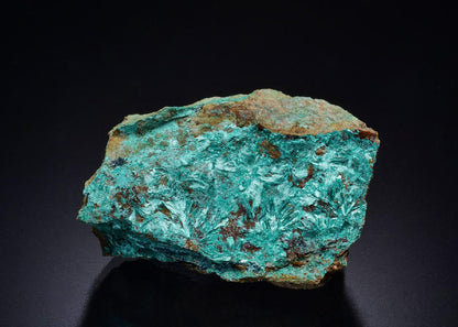 CC45722 specimen image