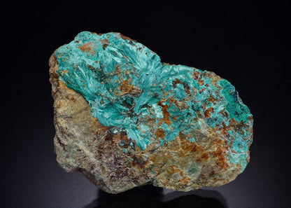 CC45730 specimen image