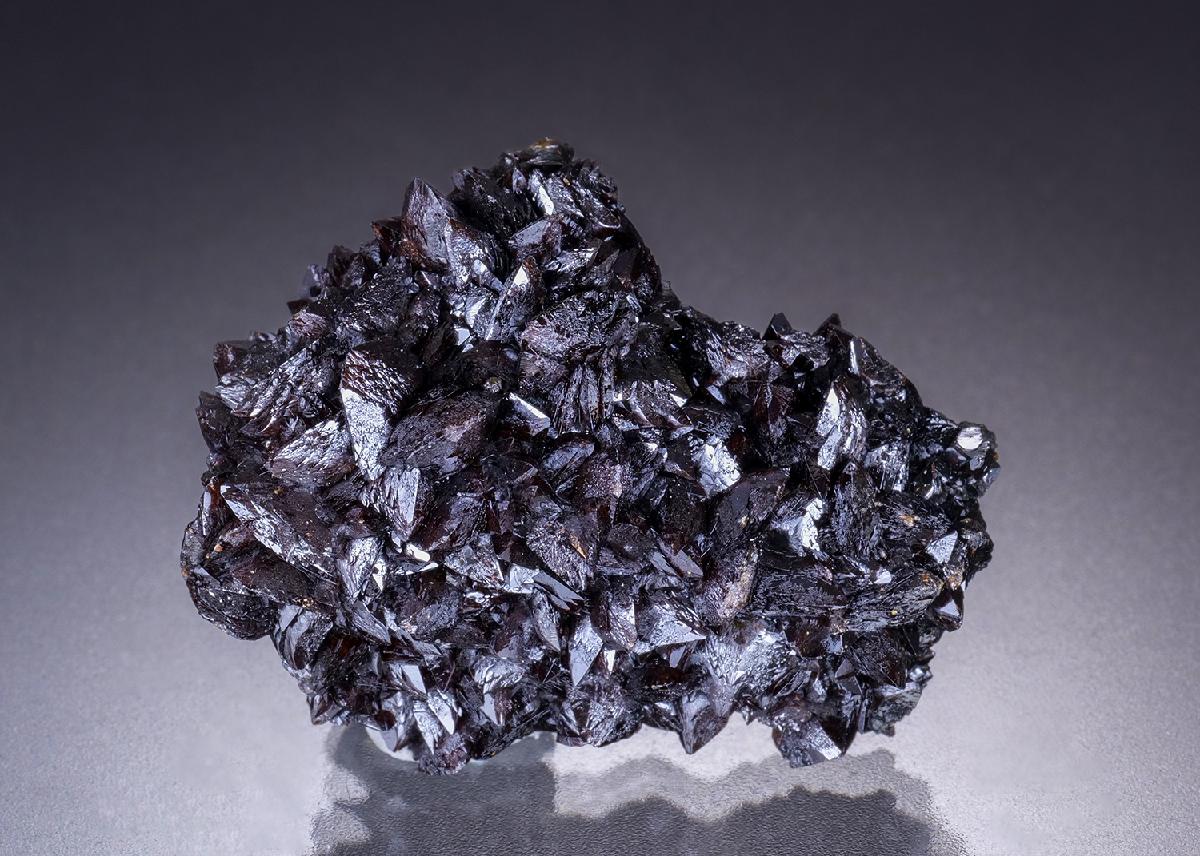 CC45734 specimen image