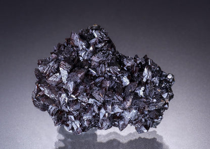 CC45734 specimen image