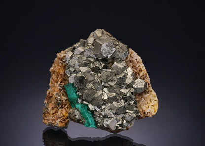 CC45750 specimen image