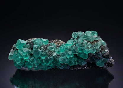 CC45754 specimen image