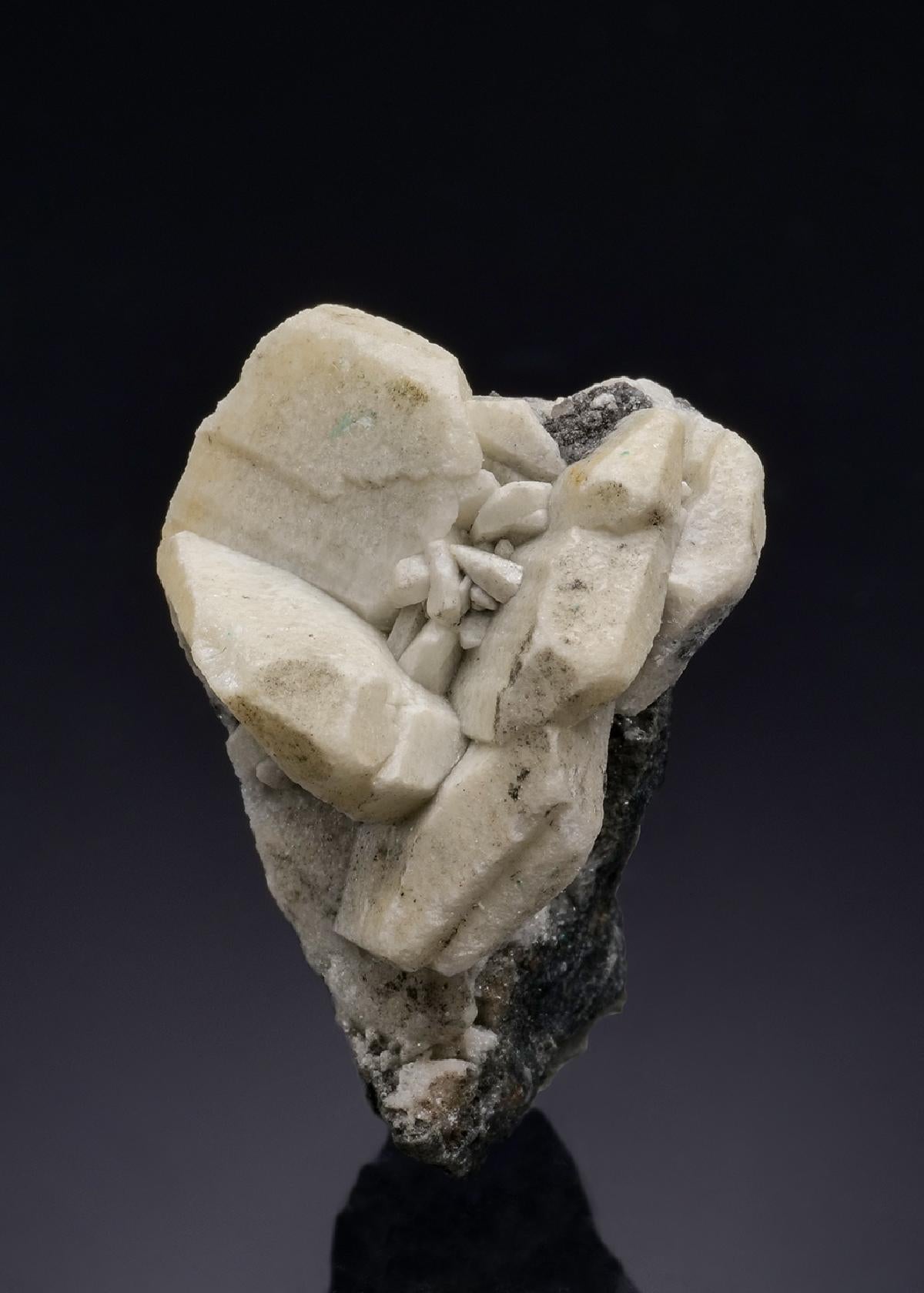 CC45786 specimen image