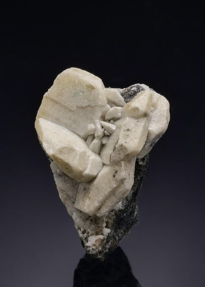CC45786 specimen image