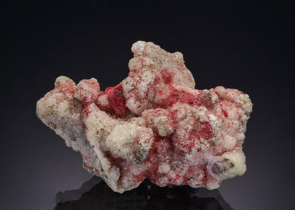 CC45806 specimen image