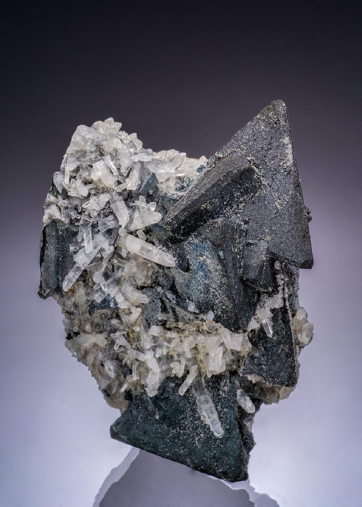 CC45906 specimen image