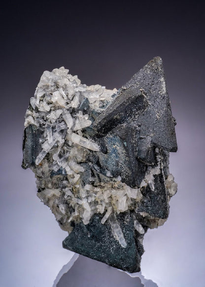 CC45906 specimen image