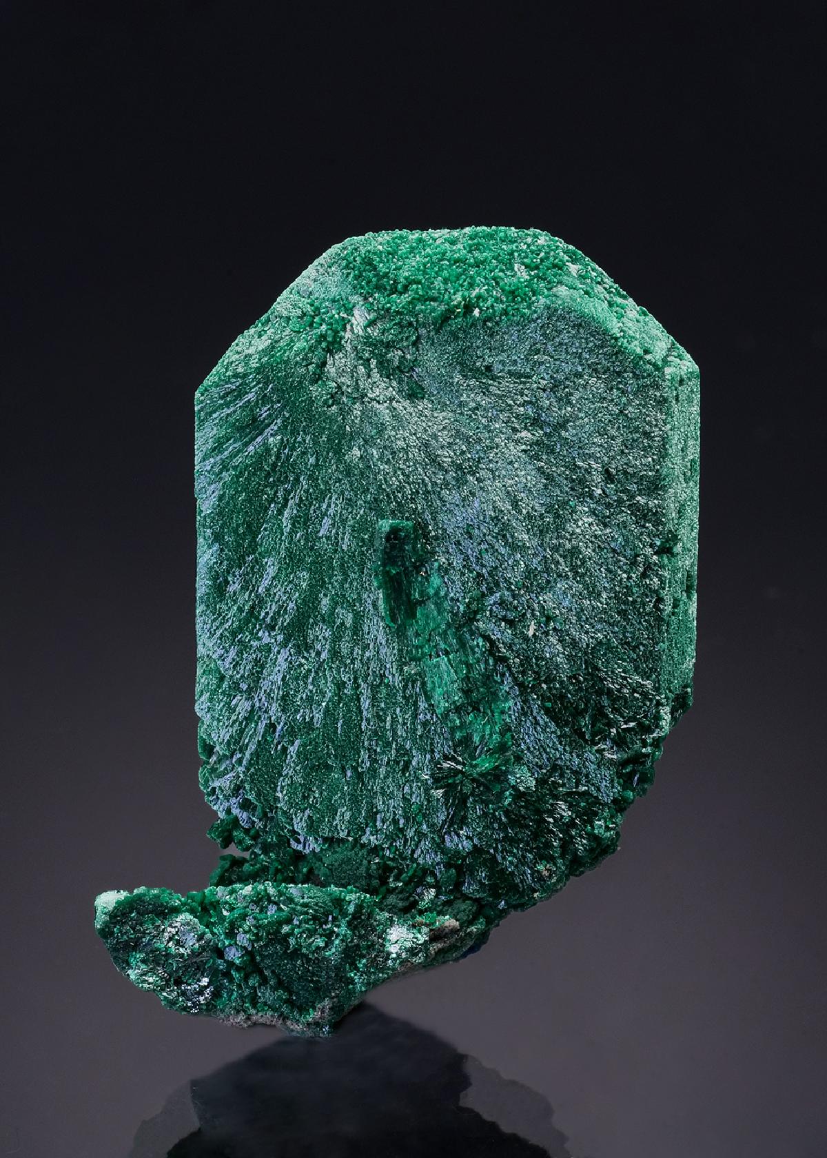 CC45956 specimen image