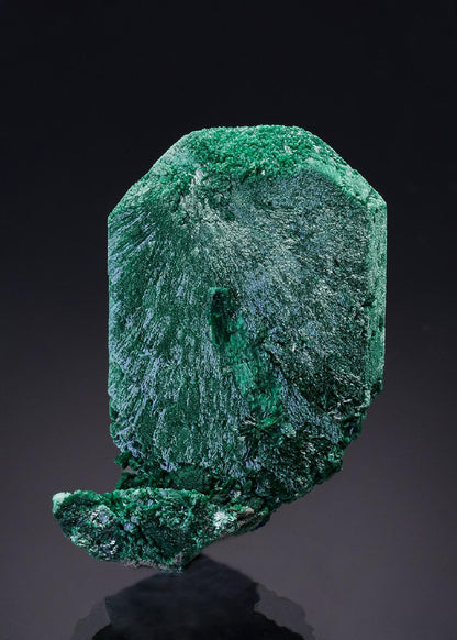 CC45956 specimen image