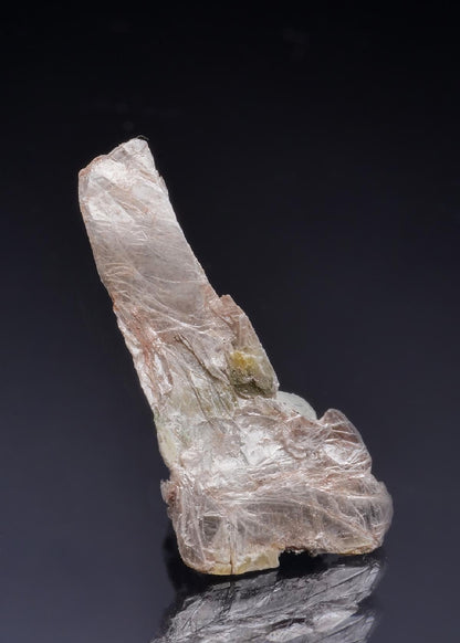 CC45996 specimen image
