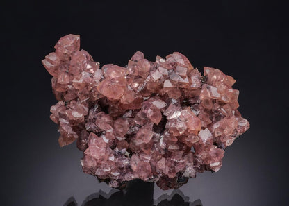 CC46010 specimen image
